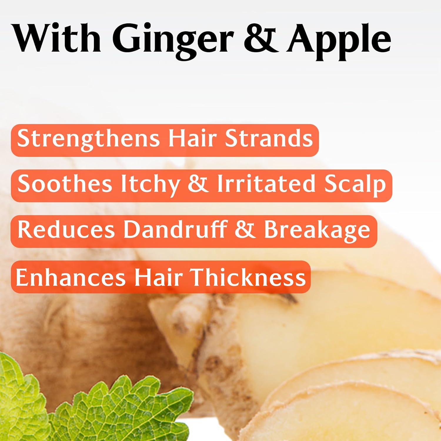 Root Re-Boot Purifying Shampoo (Ginger & Apple) LADOR, 250ml
