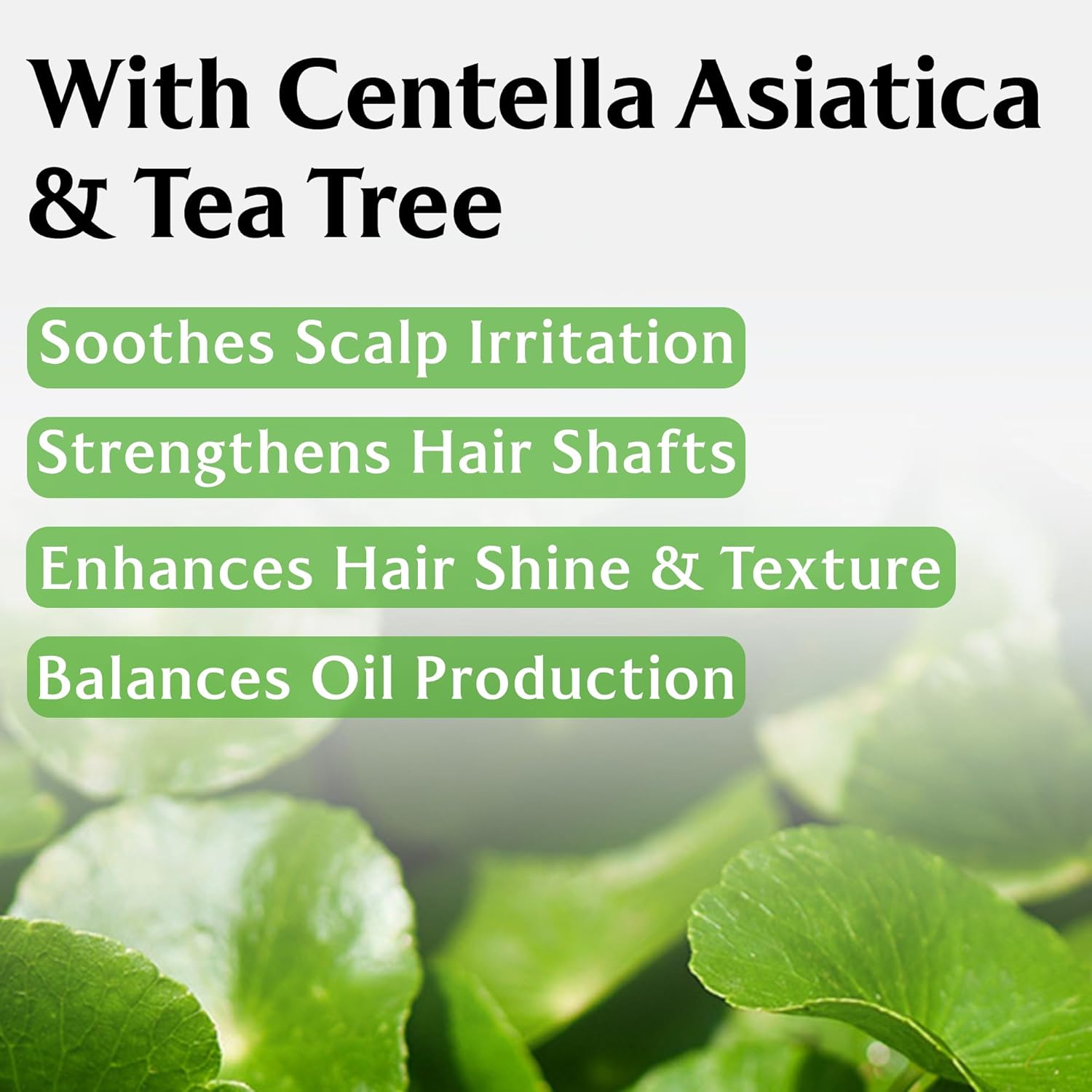 Root Re-Boot Activating Shampoo (Cica & Tea Tree) LADOR, 250ml